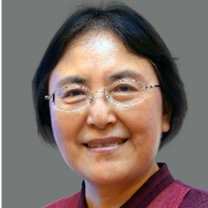 Xiaojun Qian (Associate Dean of Academics at Schwarzman College)